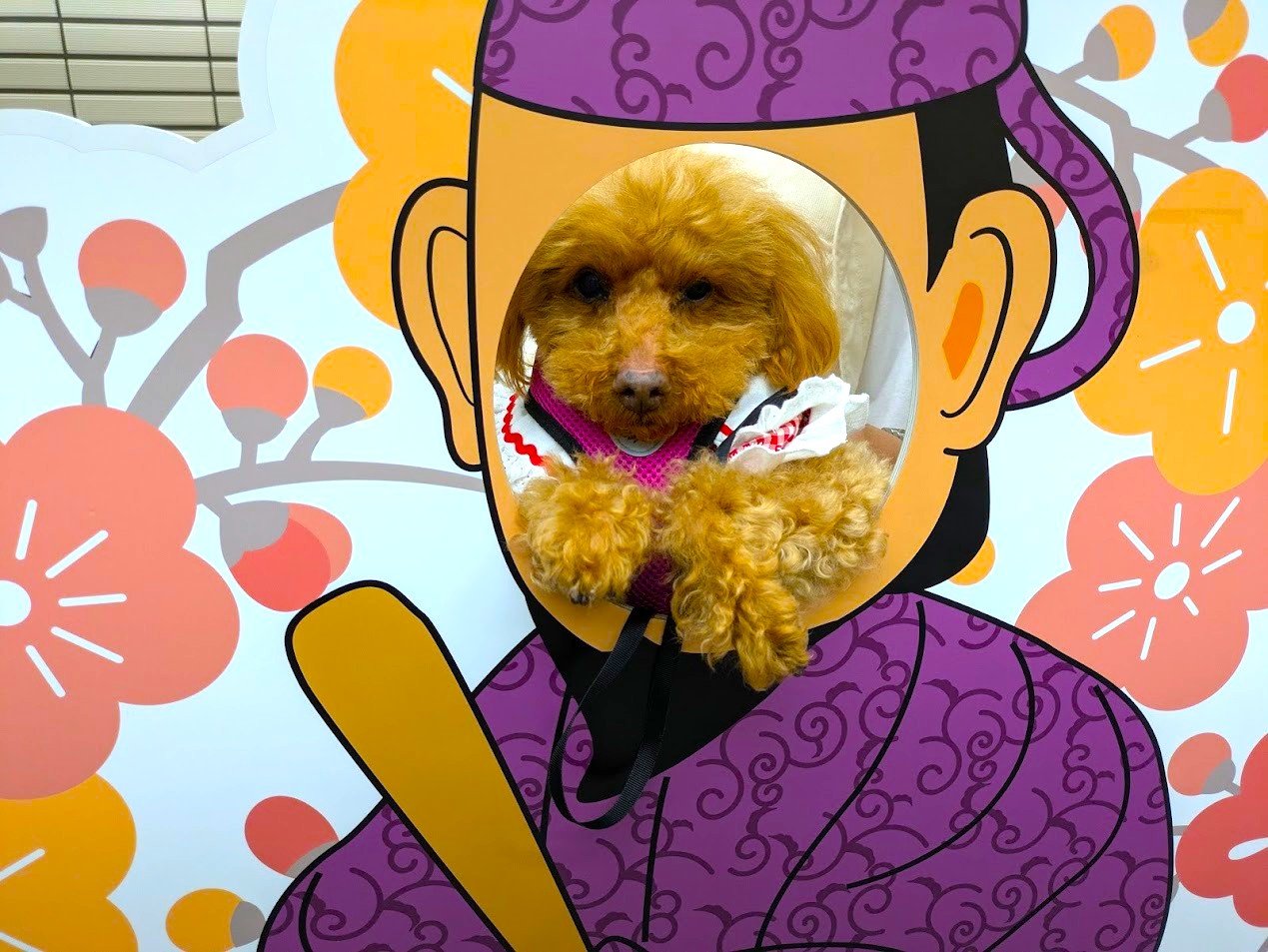 わんわんパラダイス奈良生駒