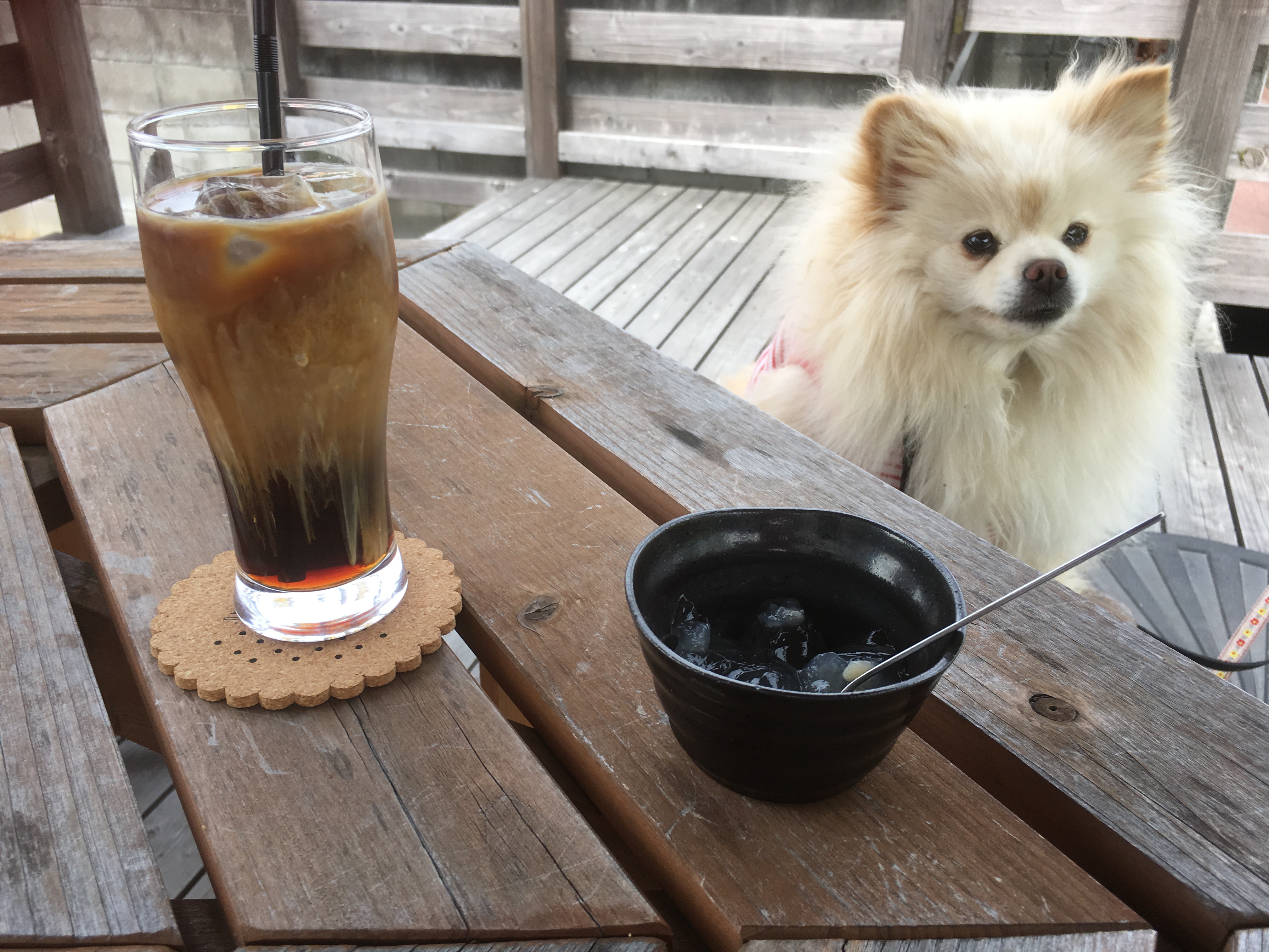 cafe de mistico(カフェドミスティコ)