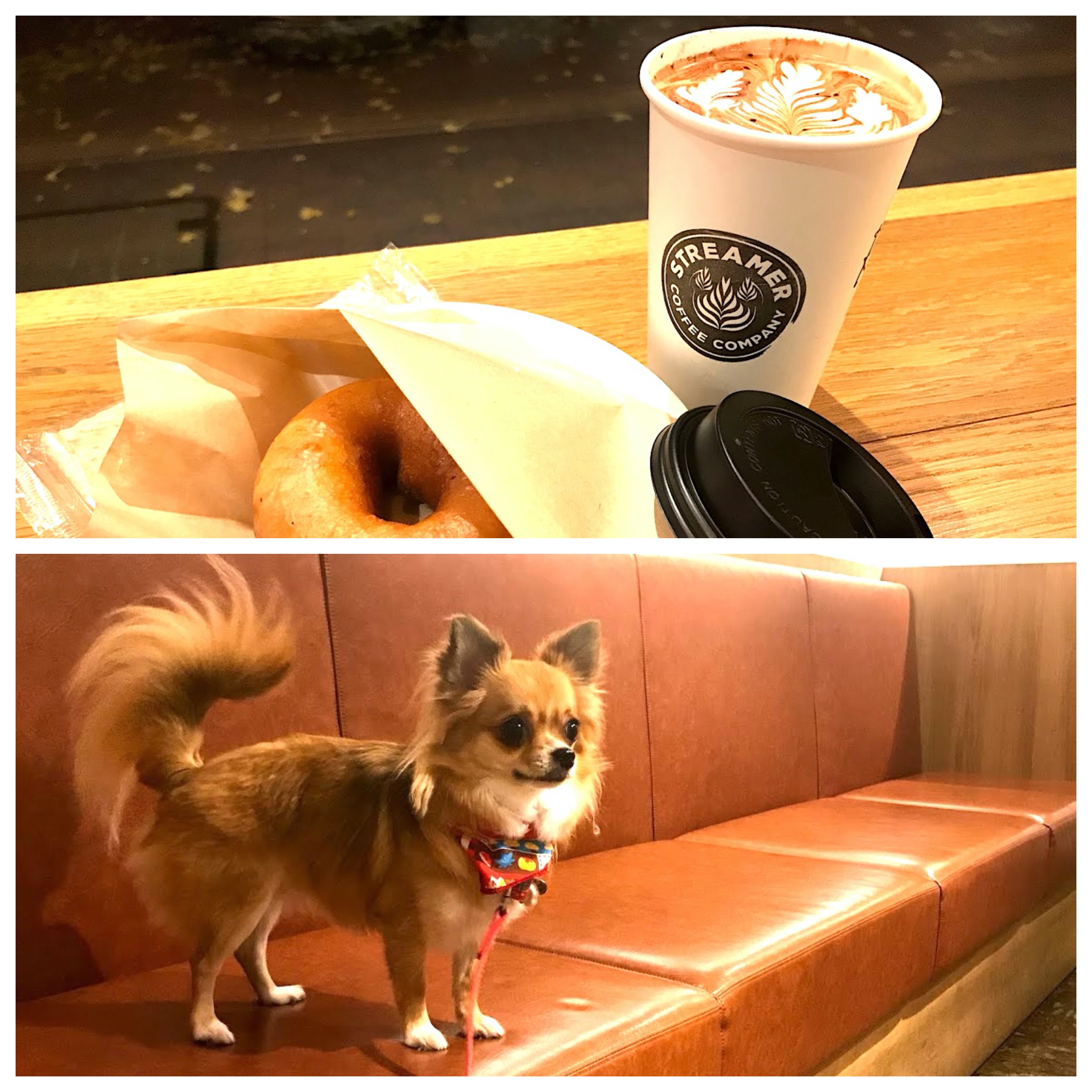【関東】「大型犬も一緒に入れるお店」東京23区 Part1