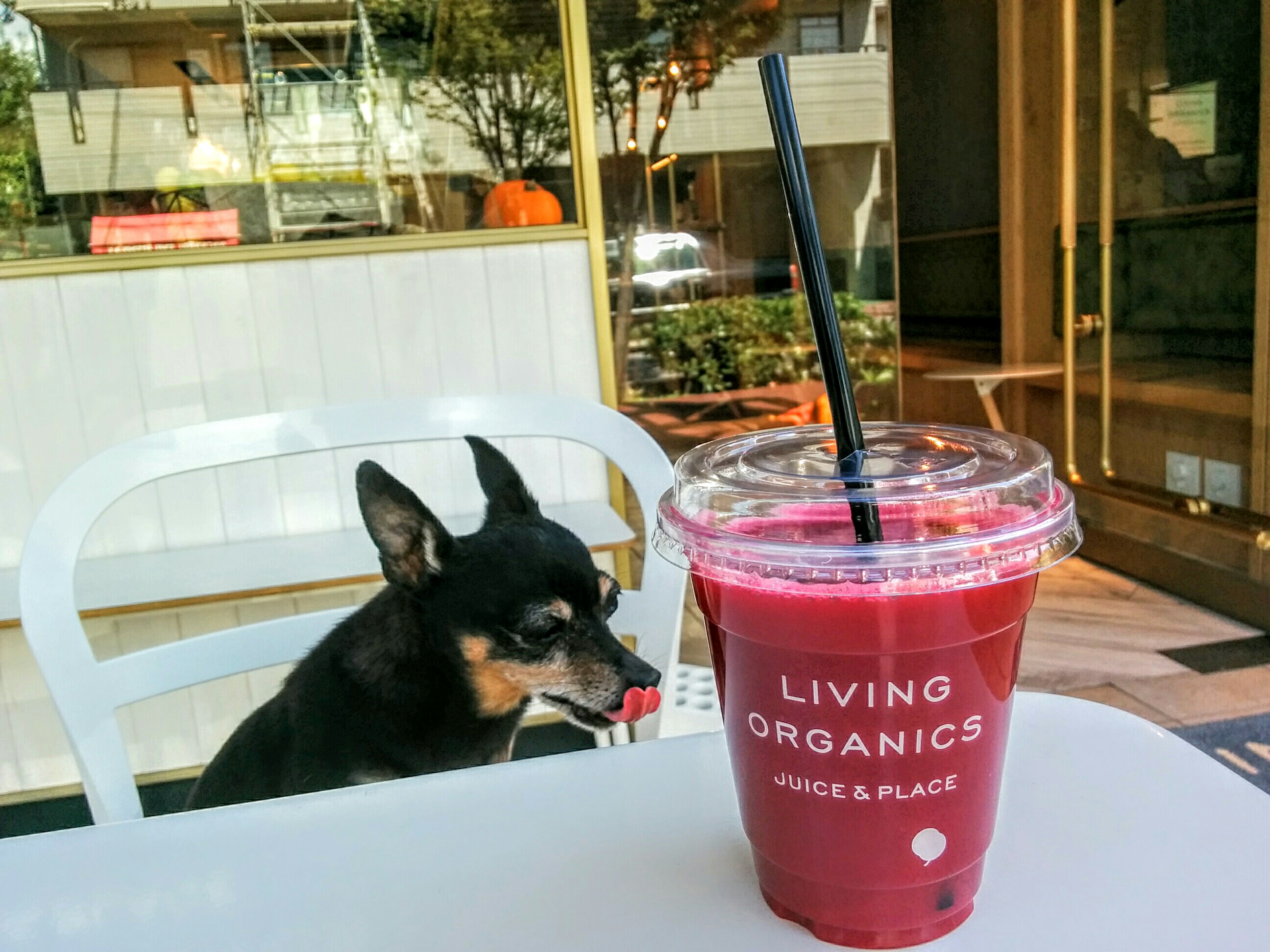 LIVINGORGANICSJUICE&PLACE(リビングオーガニックス