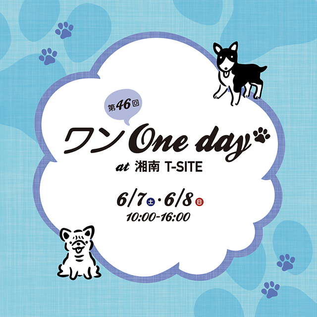 第46回ワンOne day!