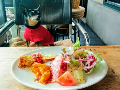 【関西】愛犬と本格的なイタリアンが楽しめるお店