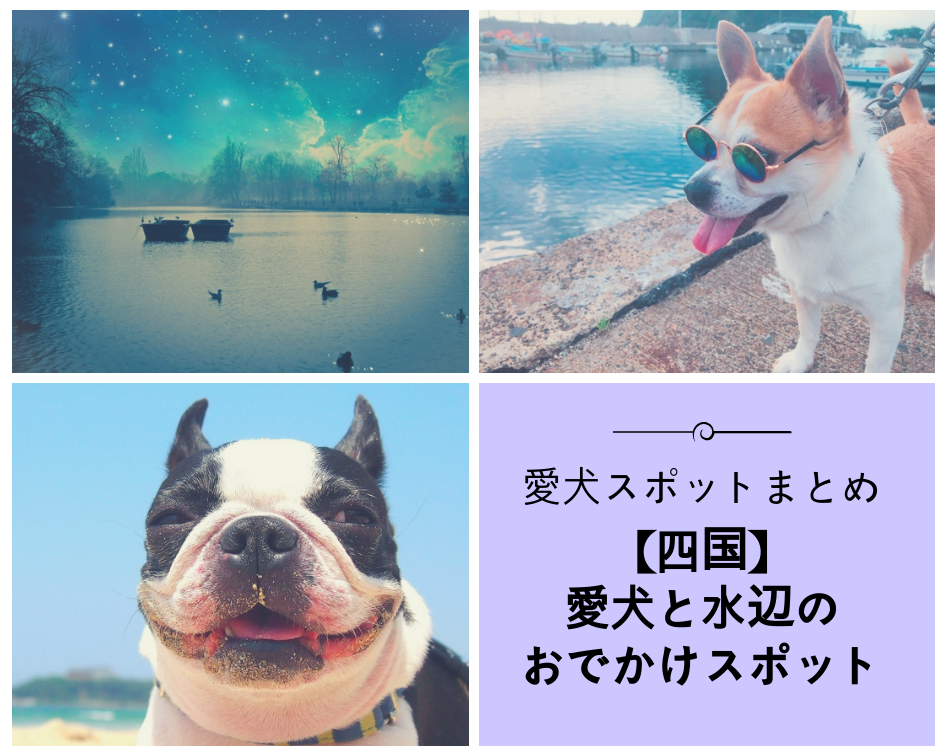 【四国】愛犬と水辺のおでかけスポット〜西日本編　part5〜