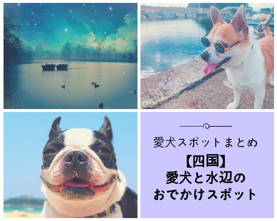 四国 愛犬と水辺のおでかけスポット 西日本編 Part5 ペットと一緒