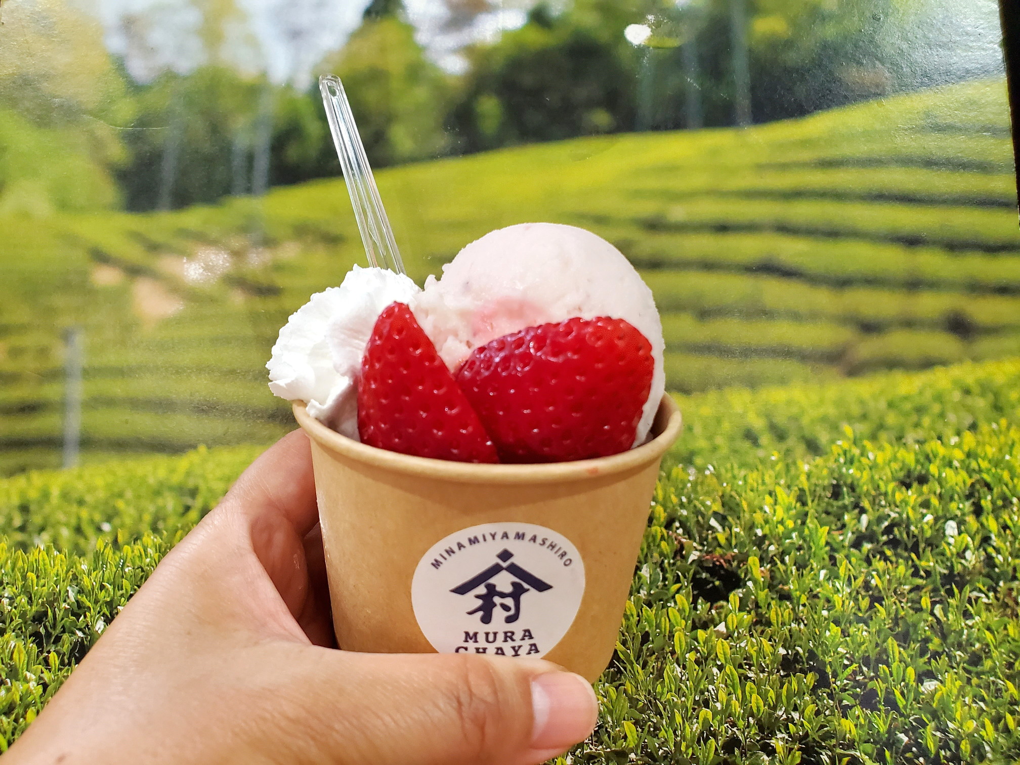 道の駅 お茶の京都 みなみやましろ村