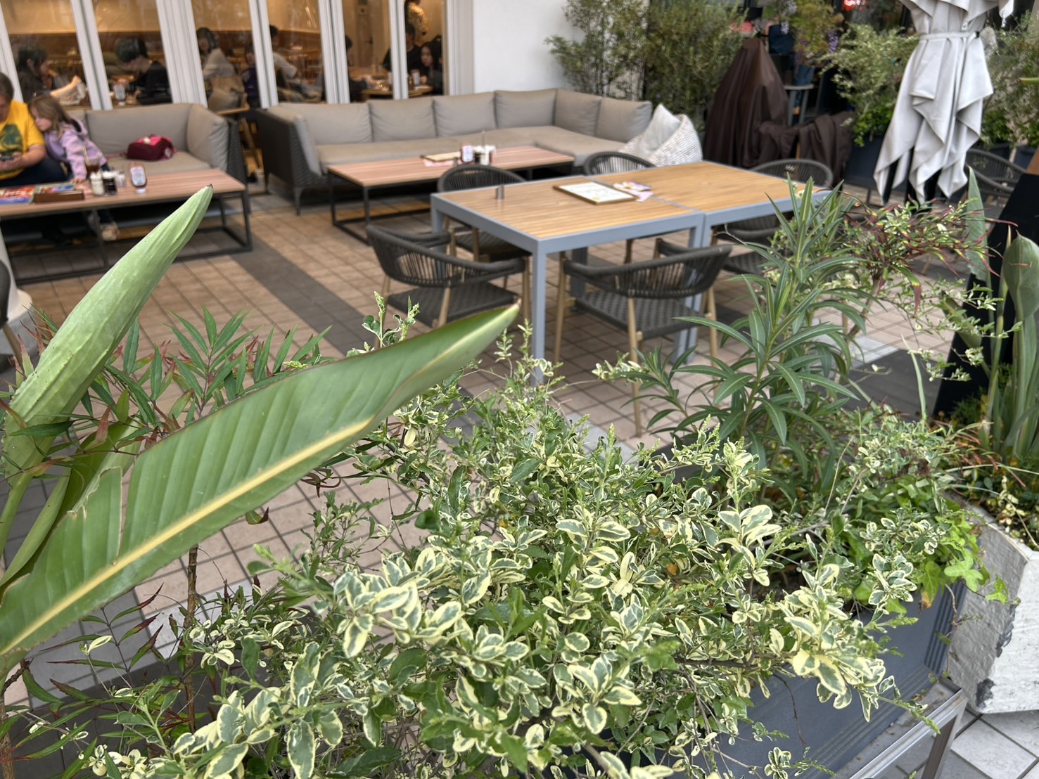 エッグスンシングス