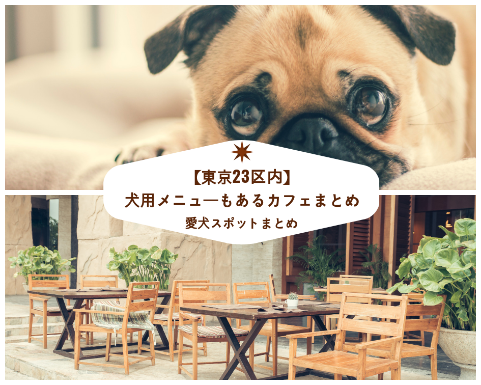 【東京23区内】「犬用メニューもあるカフェまとめ」PartⅠ