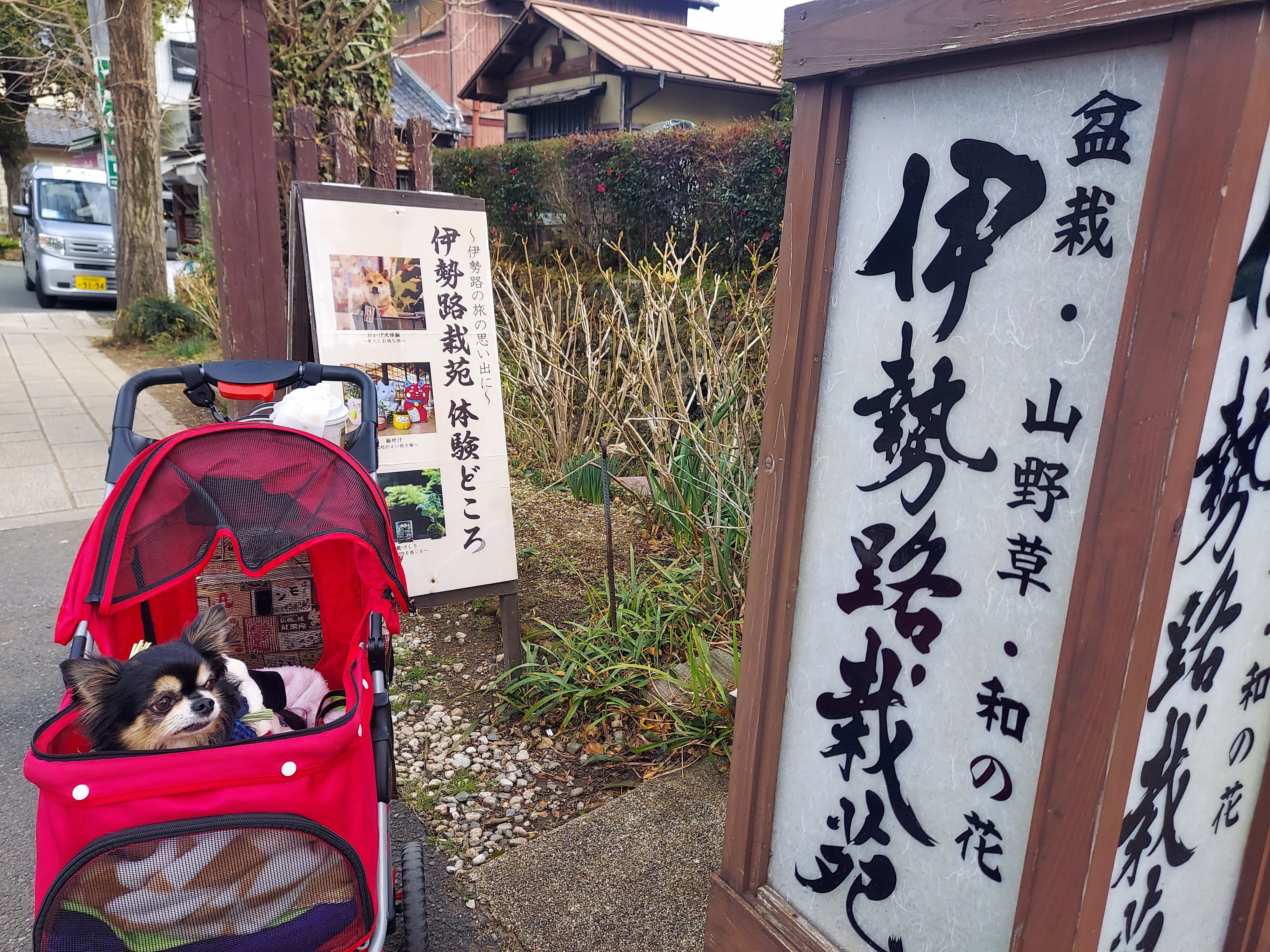 愛犬参加型 おかげ犬体験