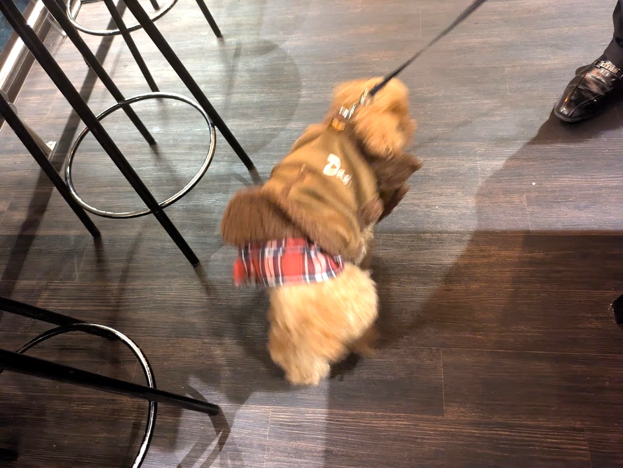 シュウマイ酒場