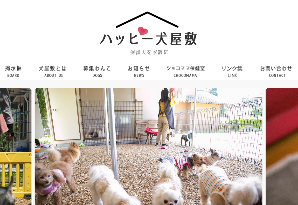 保護犬ふれあい会in小豆沢