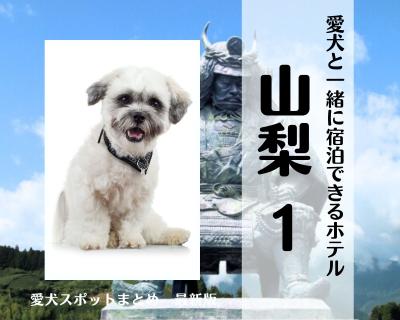 山梨