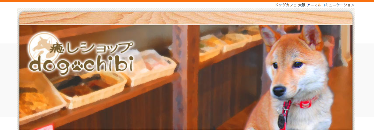 大阪市内 ワンコ連れにおすすめ すべての愛犬スポット 店内入店可能なカフェ レストラン まとめ 大阪府 ペットと一緒