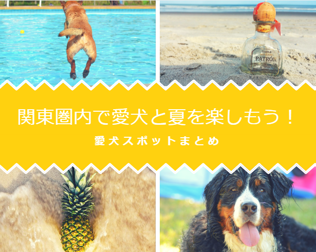 関東 犬用プールも 愛犬と夏を楽しく過ごせる施設まとめ5選 東京 神奈川 千葉 山梨 ペットと一緒