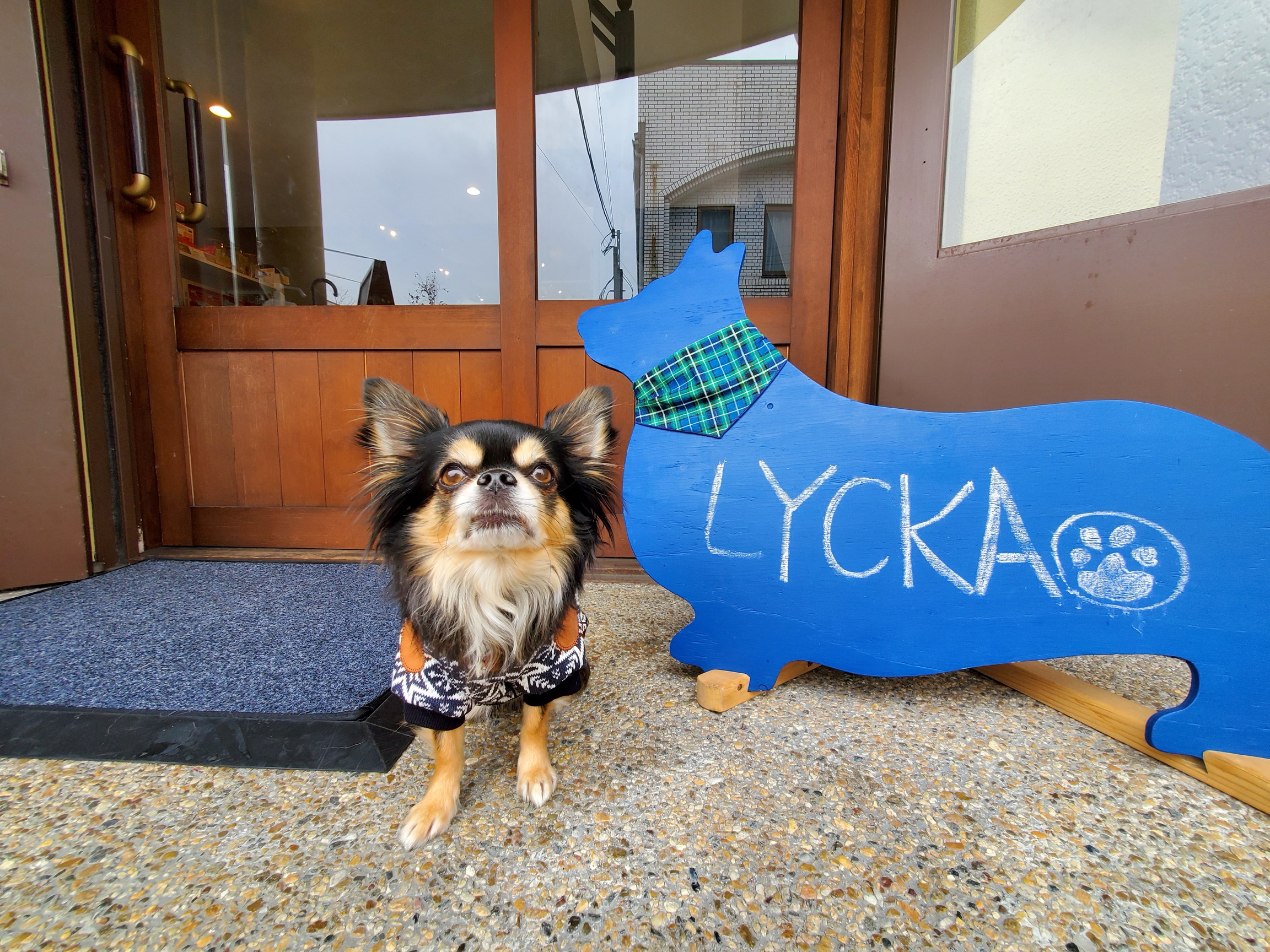 LYCKA.(ルッカ)