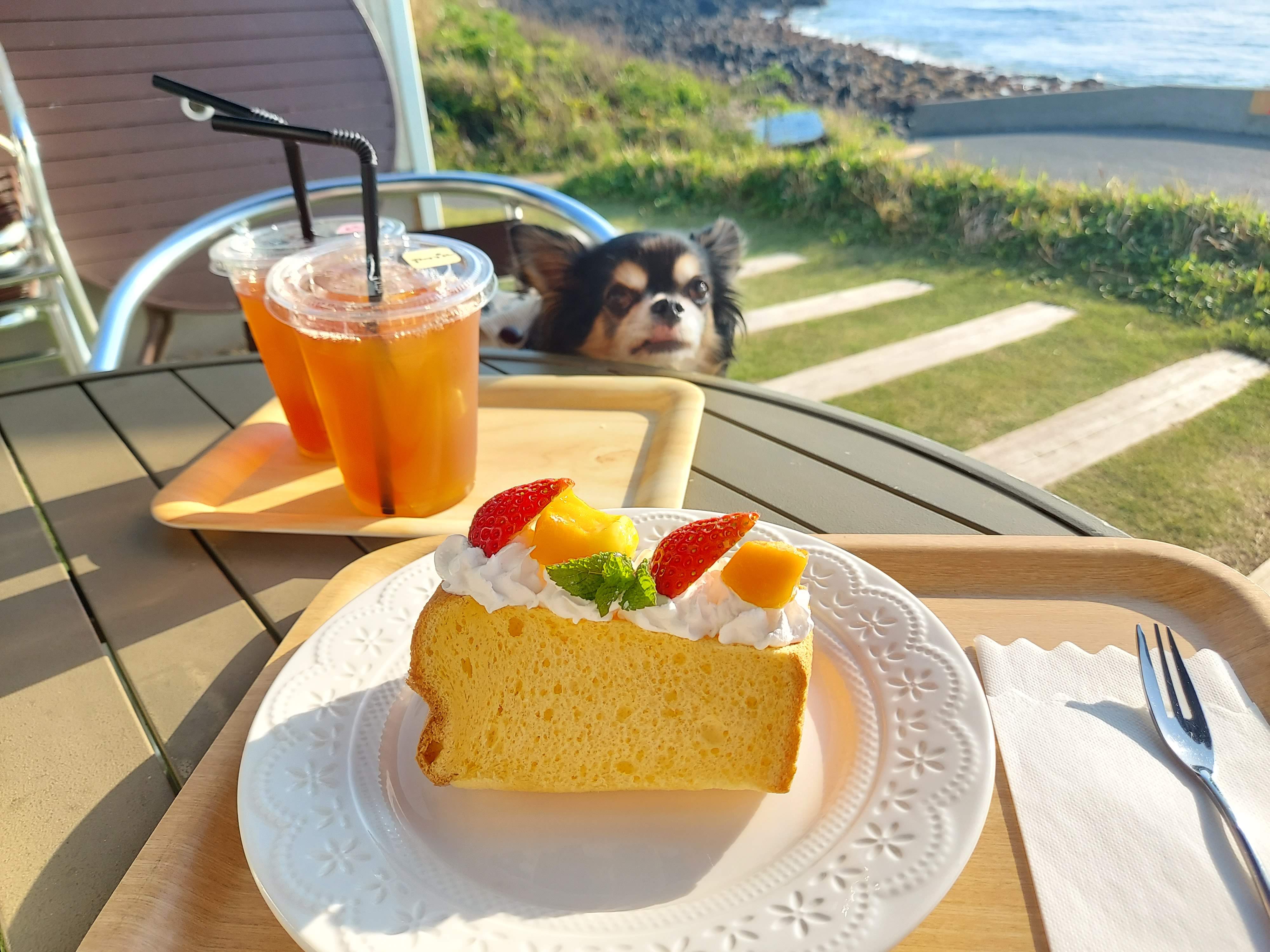 グランビスタ角島