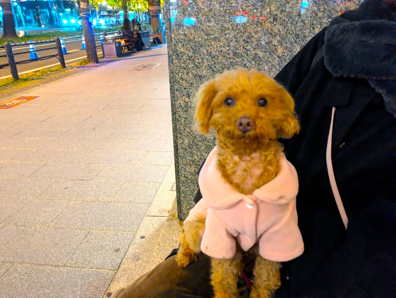 フレンチバゲットカフェ