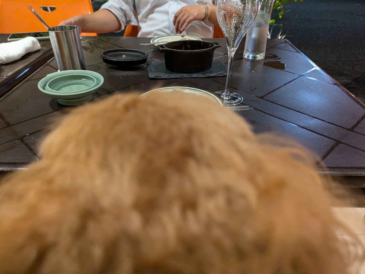 ガストロテカビメンディ