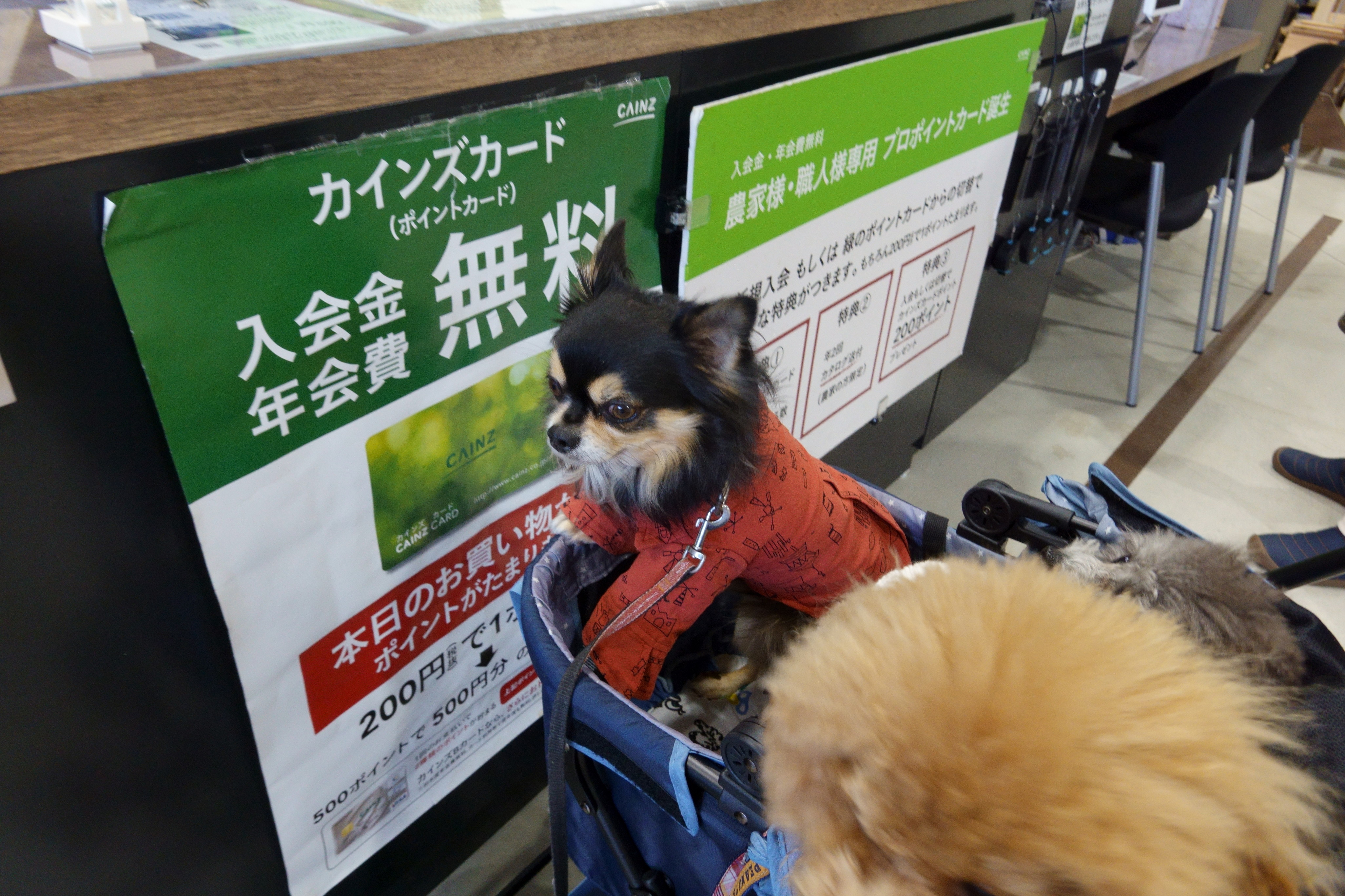 カインズ交野店ペッツワン