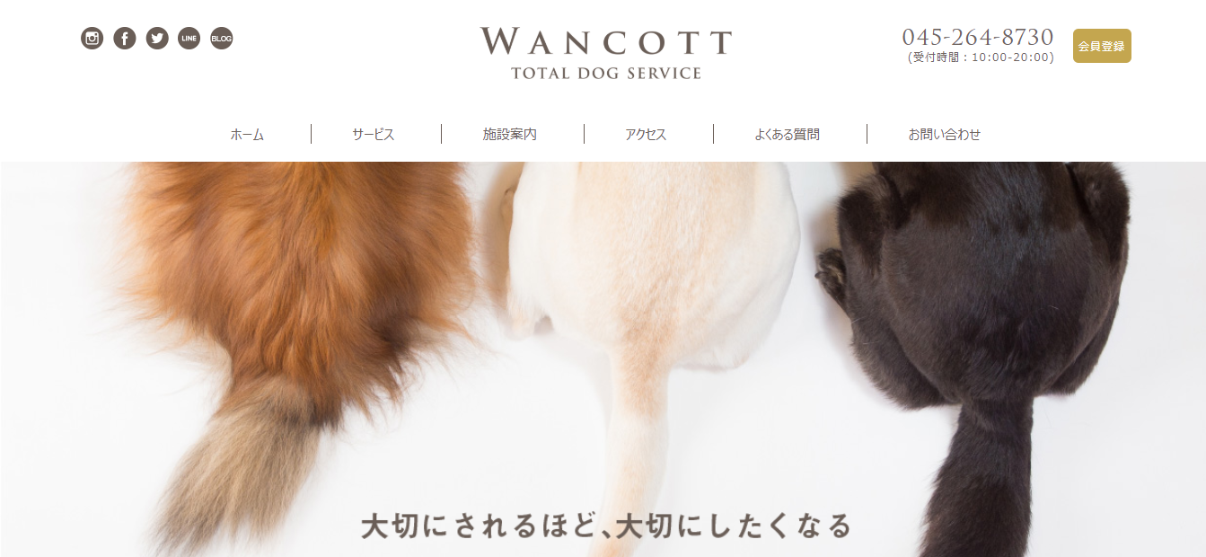 WANオフ会