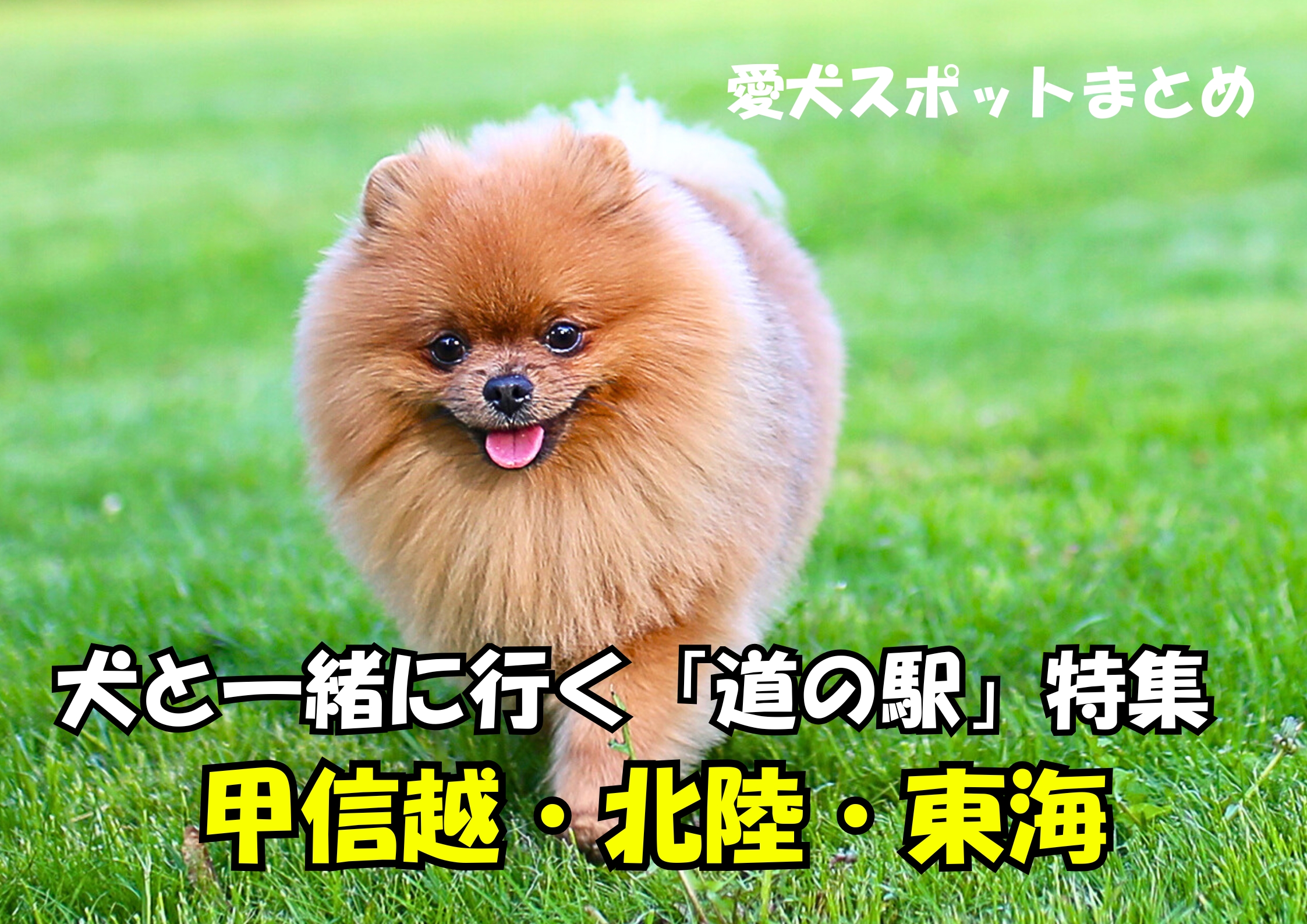 犬と一緒に行く道の駅特集|甲信越・北陸・東海