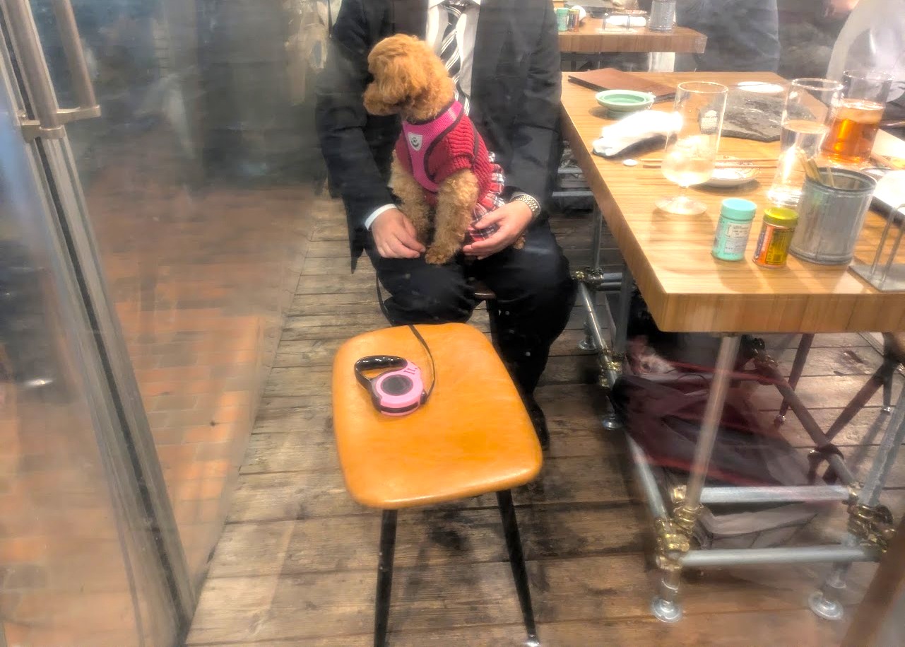 居酒屋