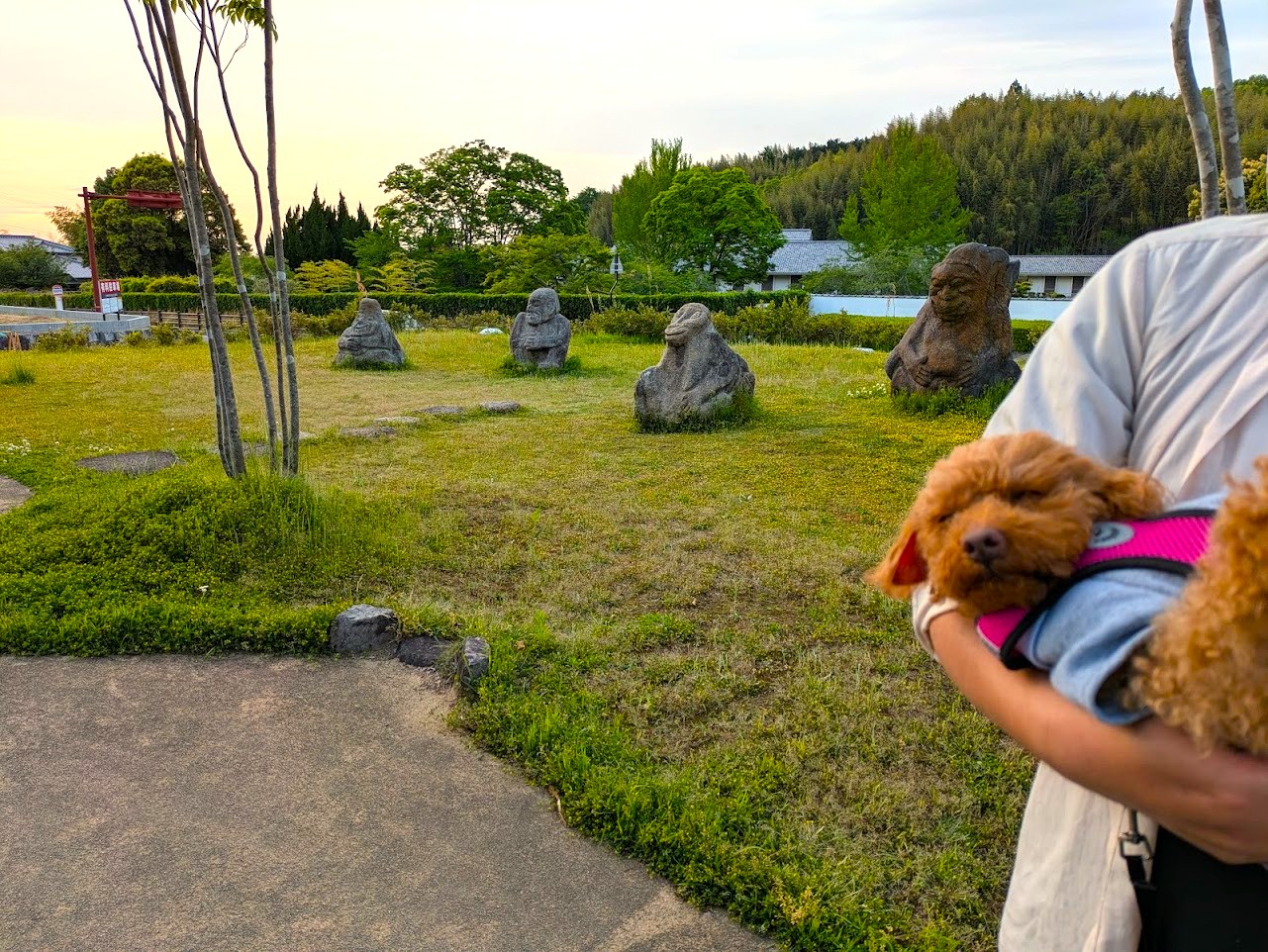 飛鳥彩瑠璃の丘天極堂テラス
