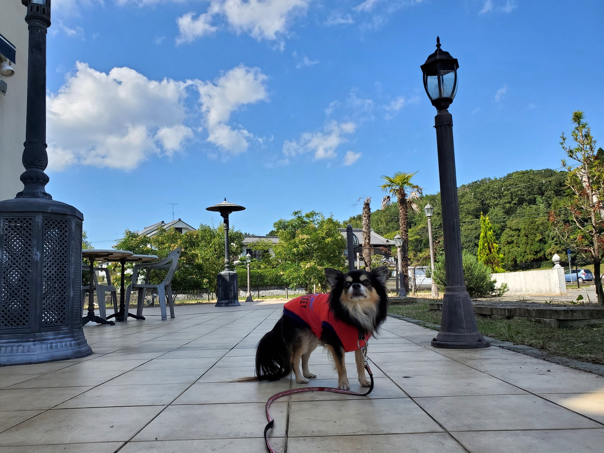 ルーチェサンタルチア 生駒学園前店