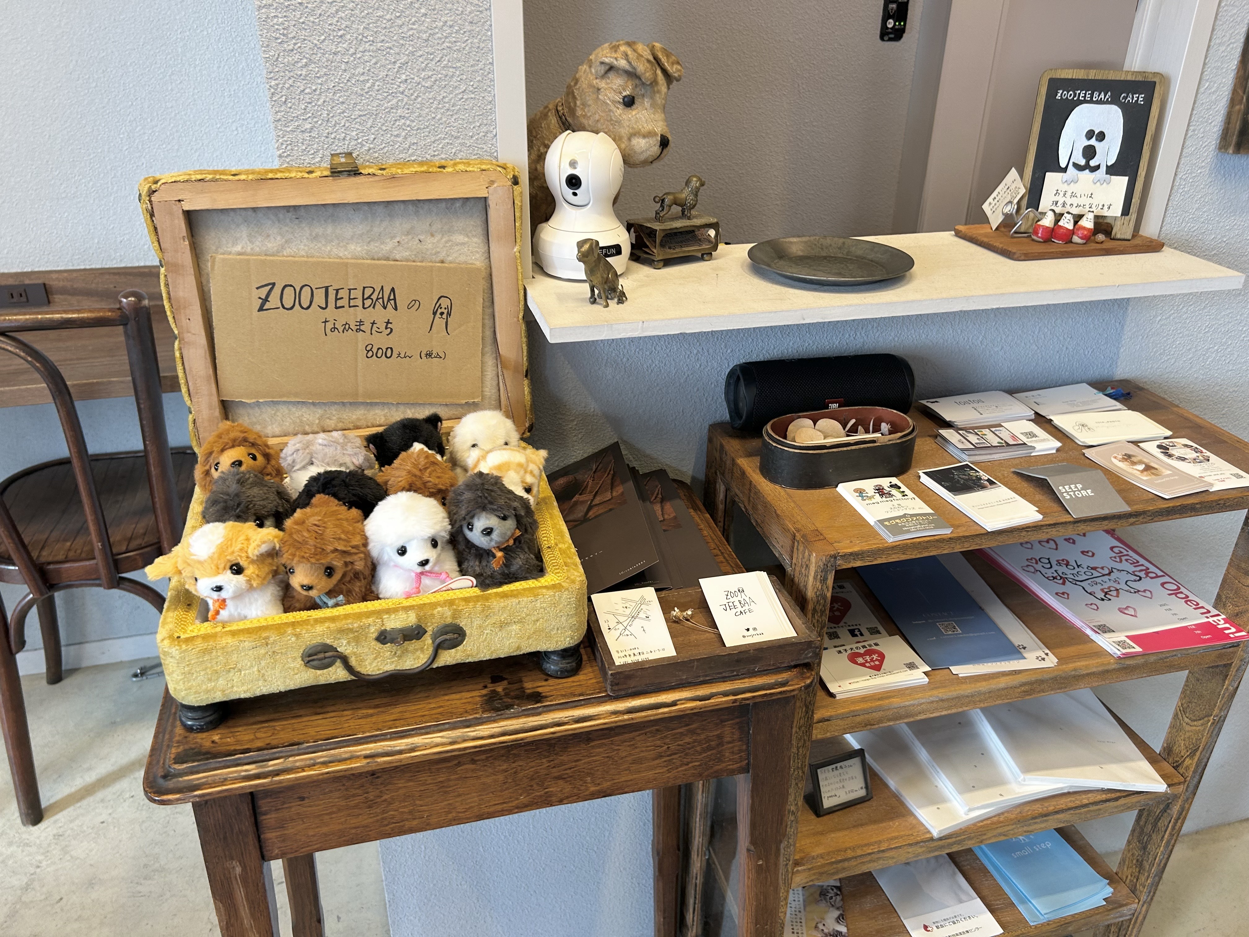 zoojeebaa