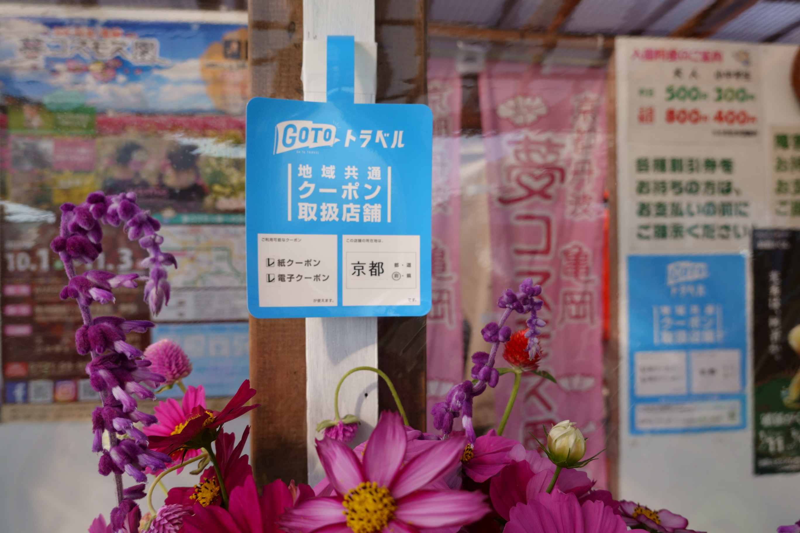 京都丹後/亀岡の夢コスモス園
