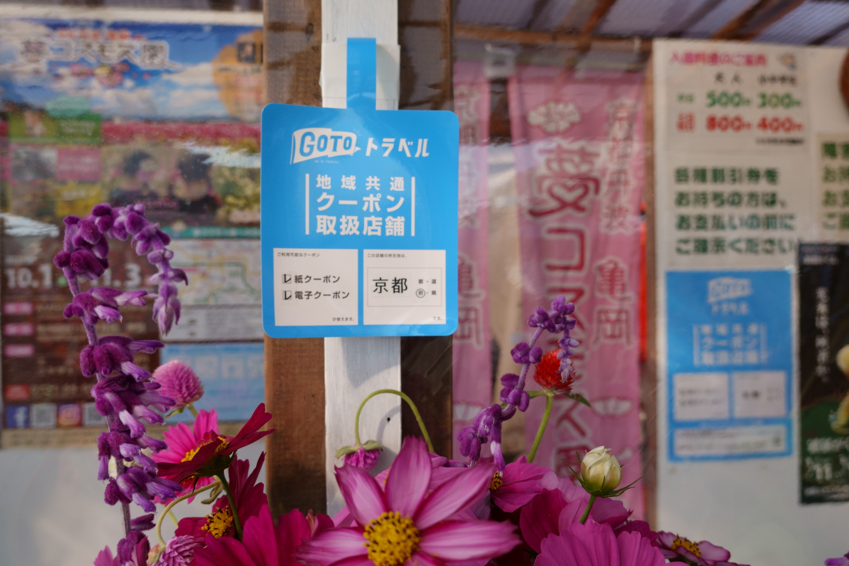 京都丹後／亀岡の夢コスモス園