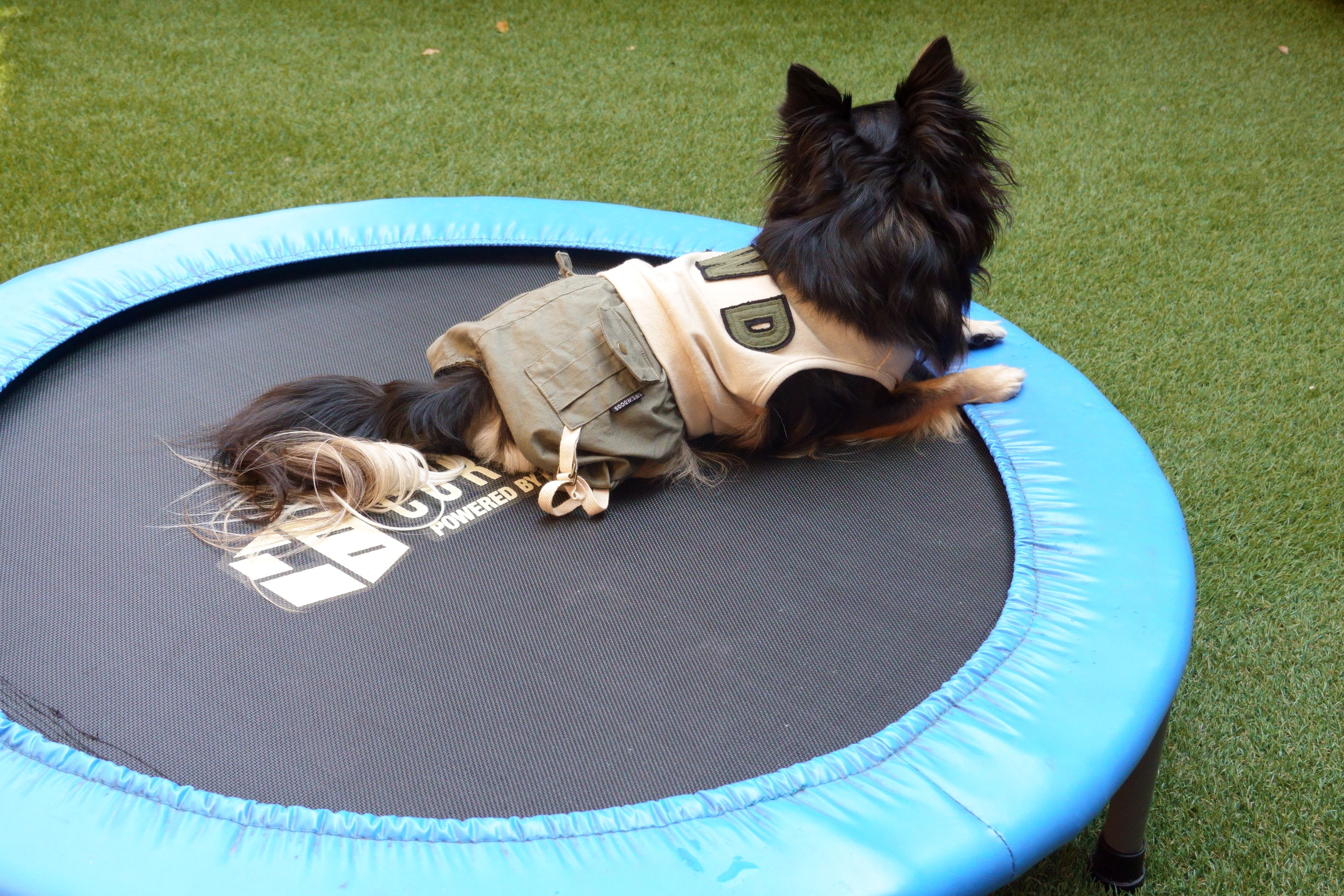 Dogcafe&salon