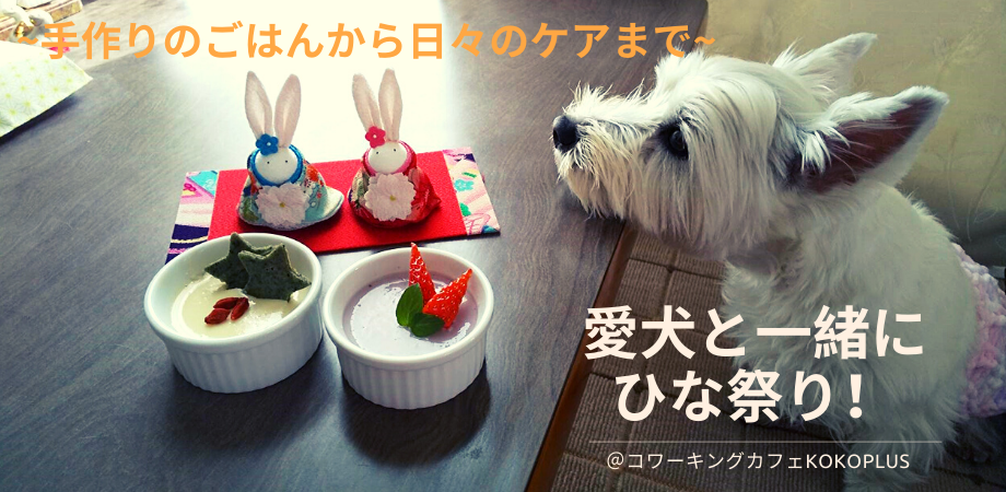 犬用お料理教室