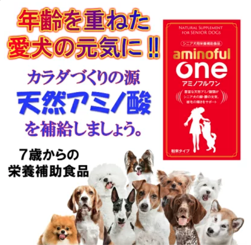 夏バテ予防になる犬用栄養補助食15選