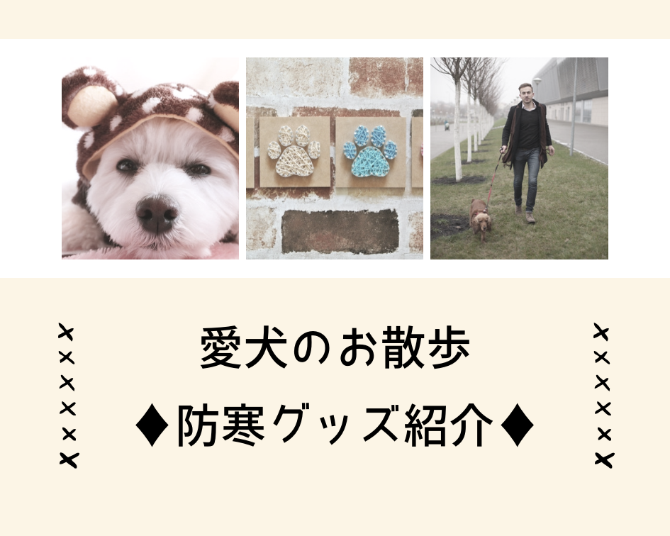 愛犬のお散歩防寒グッズ紹介