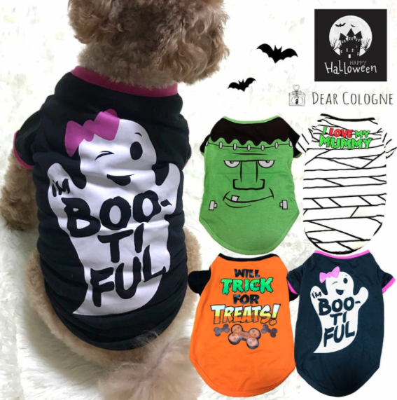 「愛犬とおうちでハロウィンを楽しもう!」ペットと一緒編集部