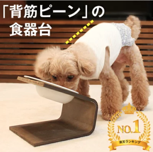 愛犬の食器選びは大切!犬種ごと・お悩みごと別に適したものを紹介【ペットと一緒編集部】