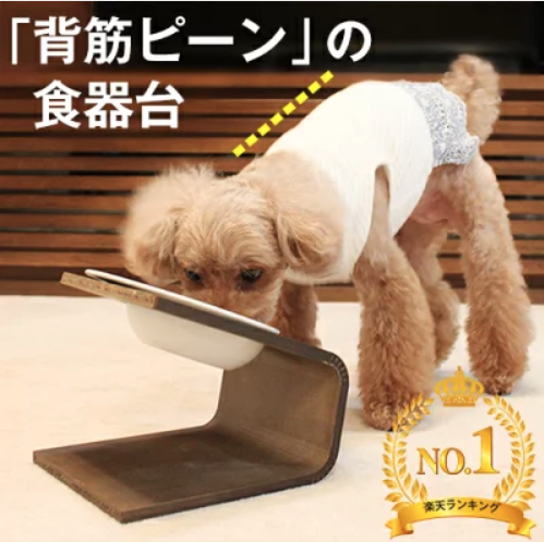 愛犬の食器選びは大切！犬種ごと・お悩みごと別に適したものを紹介【ペットと一緒編集部】