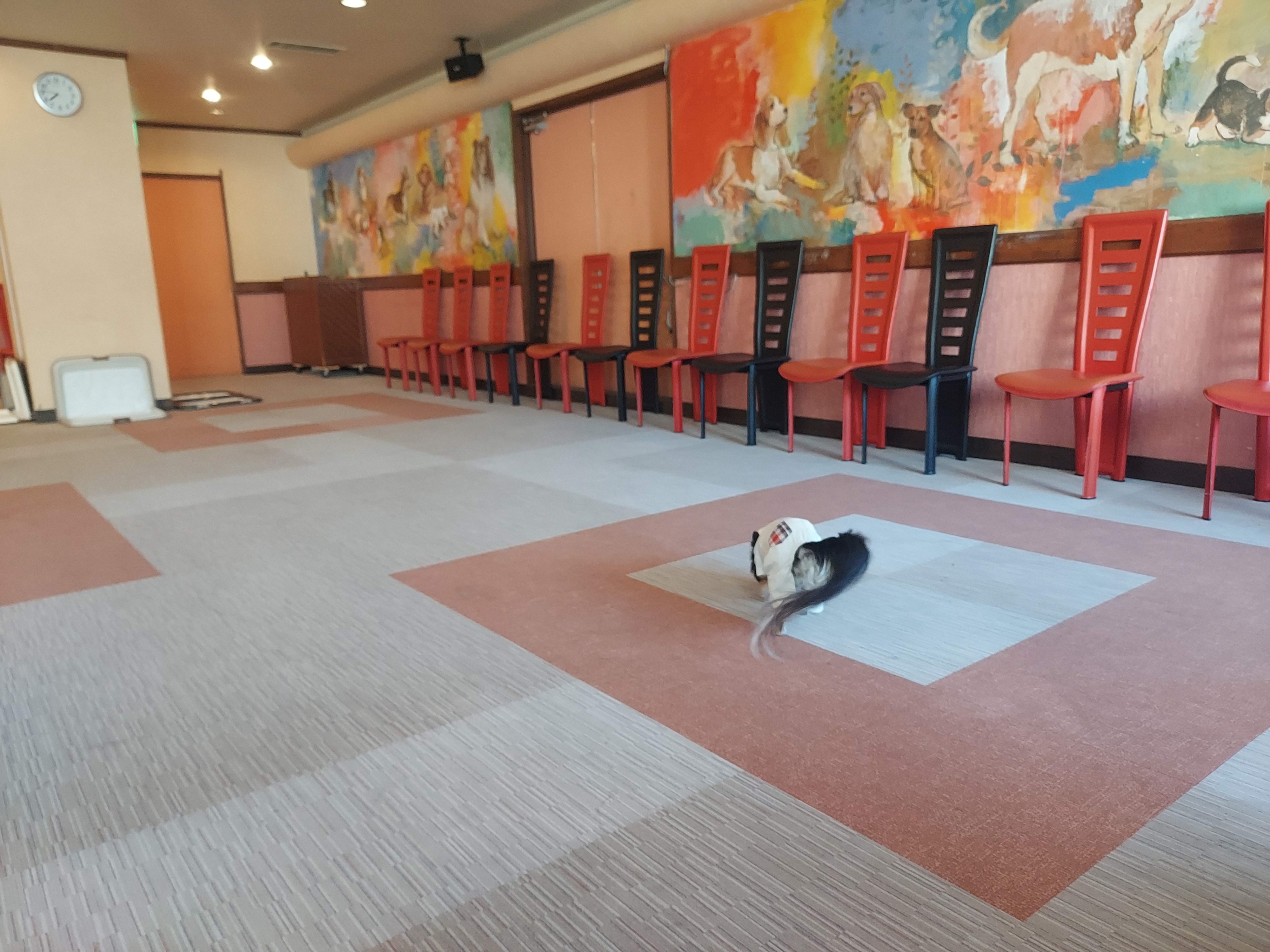 鳥羽わんわんパラダイスホテル