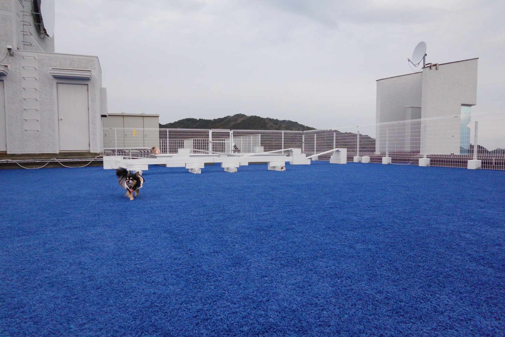 鳥羽わんわんパラダイスホテル