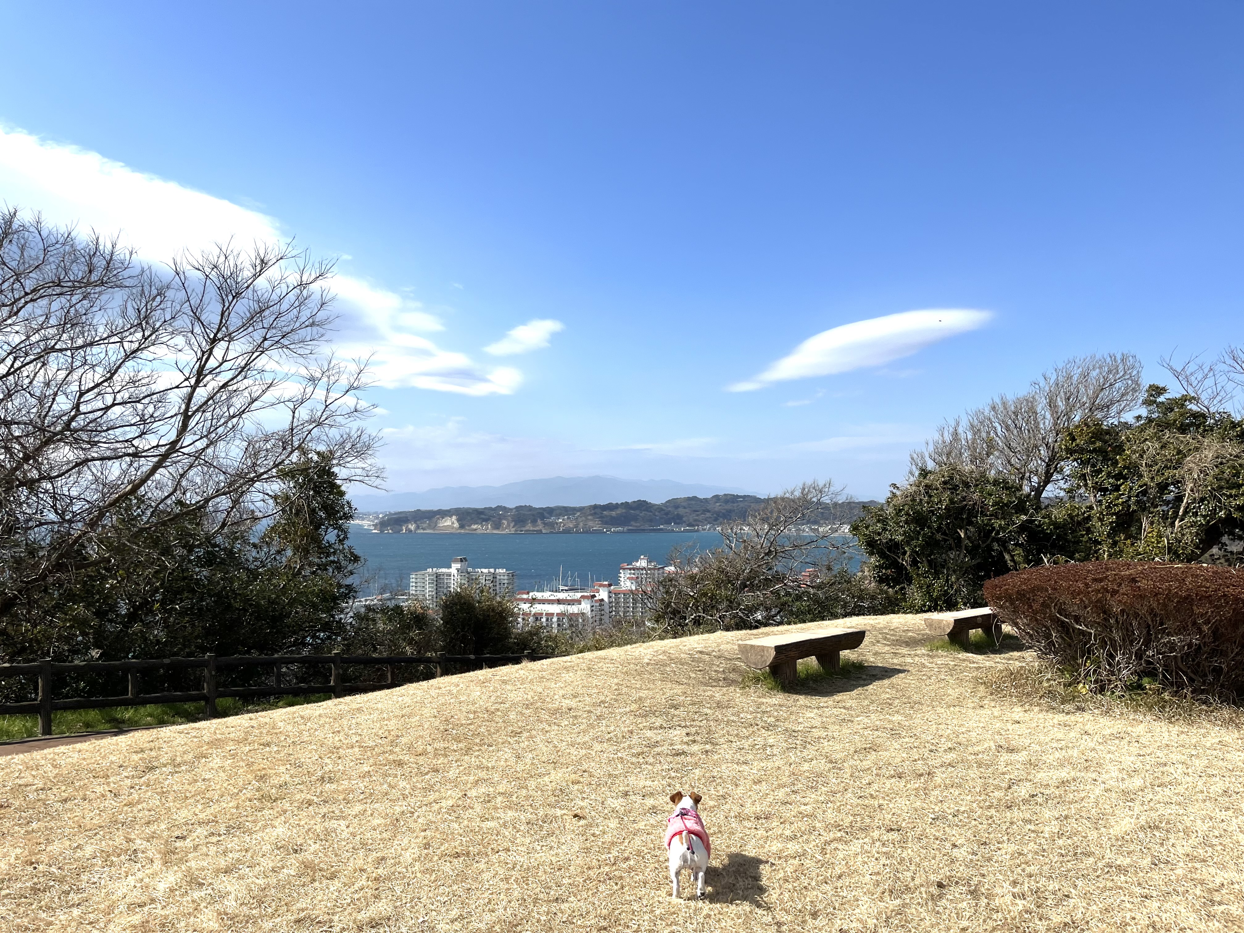 神奈川県