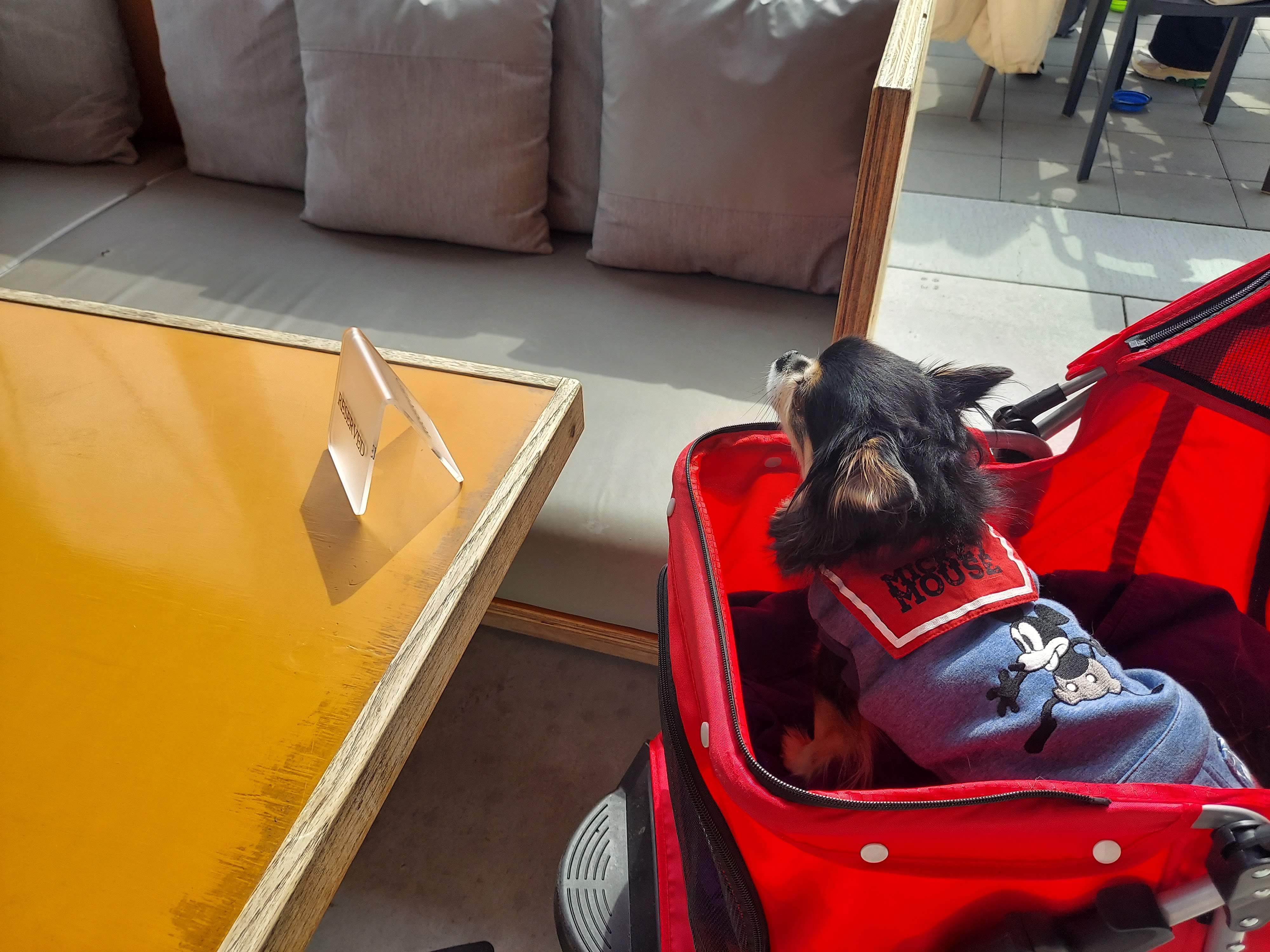 BOTANICAL HOUSE（ボタニカルハウス）