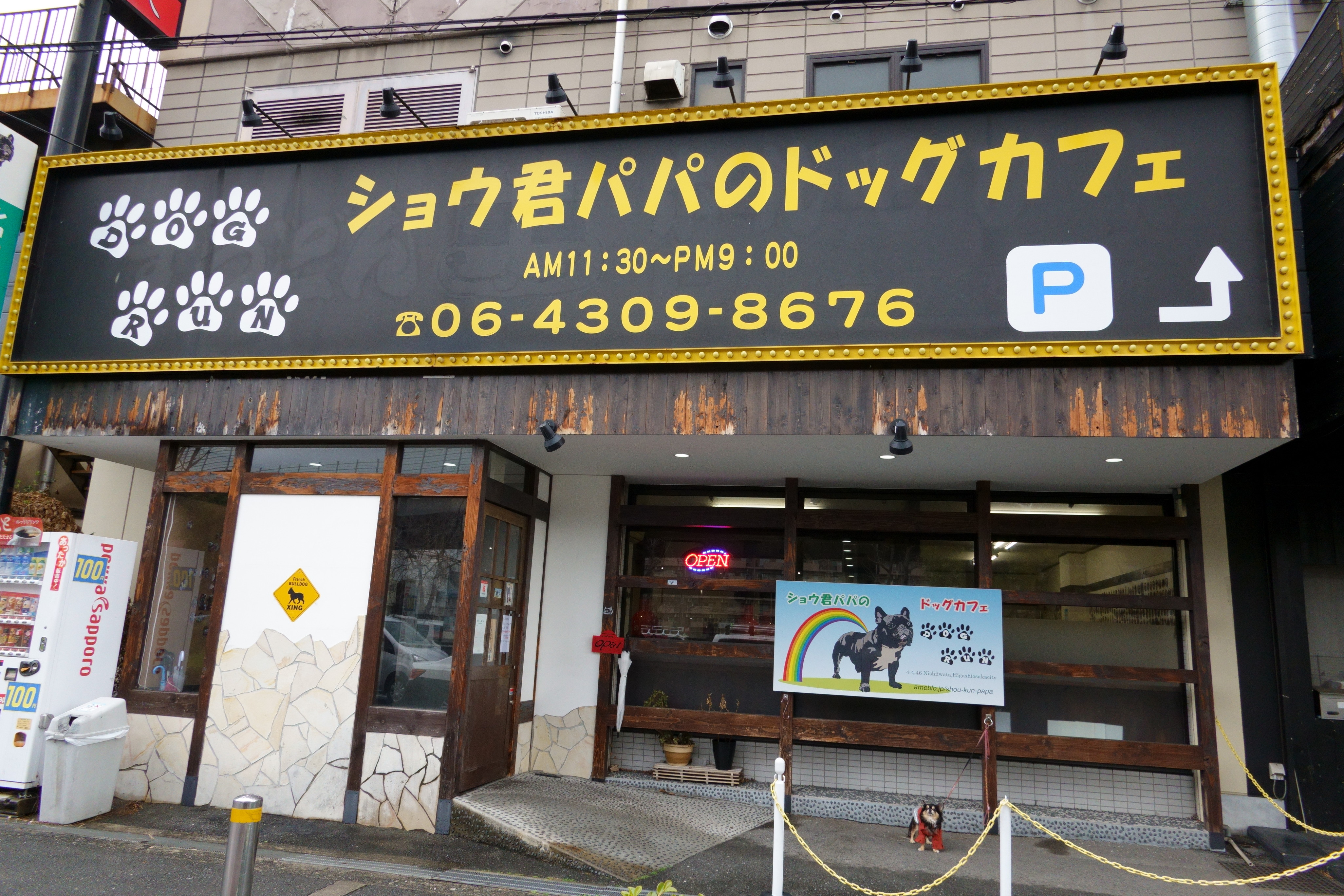 若江岩田駅 室内ドッグラン カフェ ショウ君パパのドッグカフェ 室内犬同伴可 大阪府 東大阪市 ペットと一緒