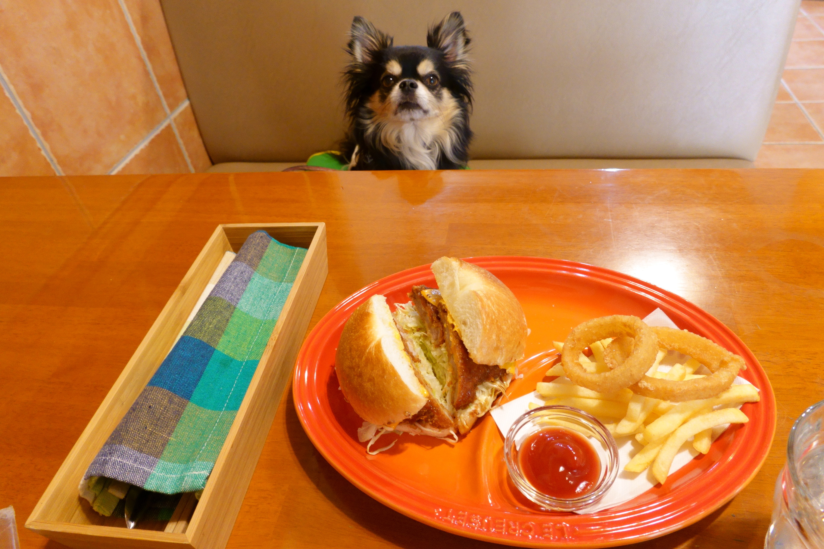 Dogcafe&salon