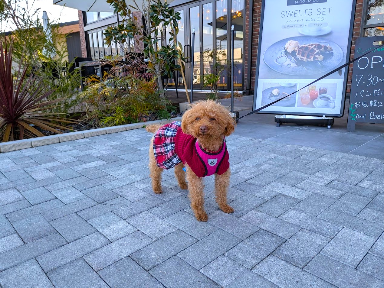 アンドベーカリー