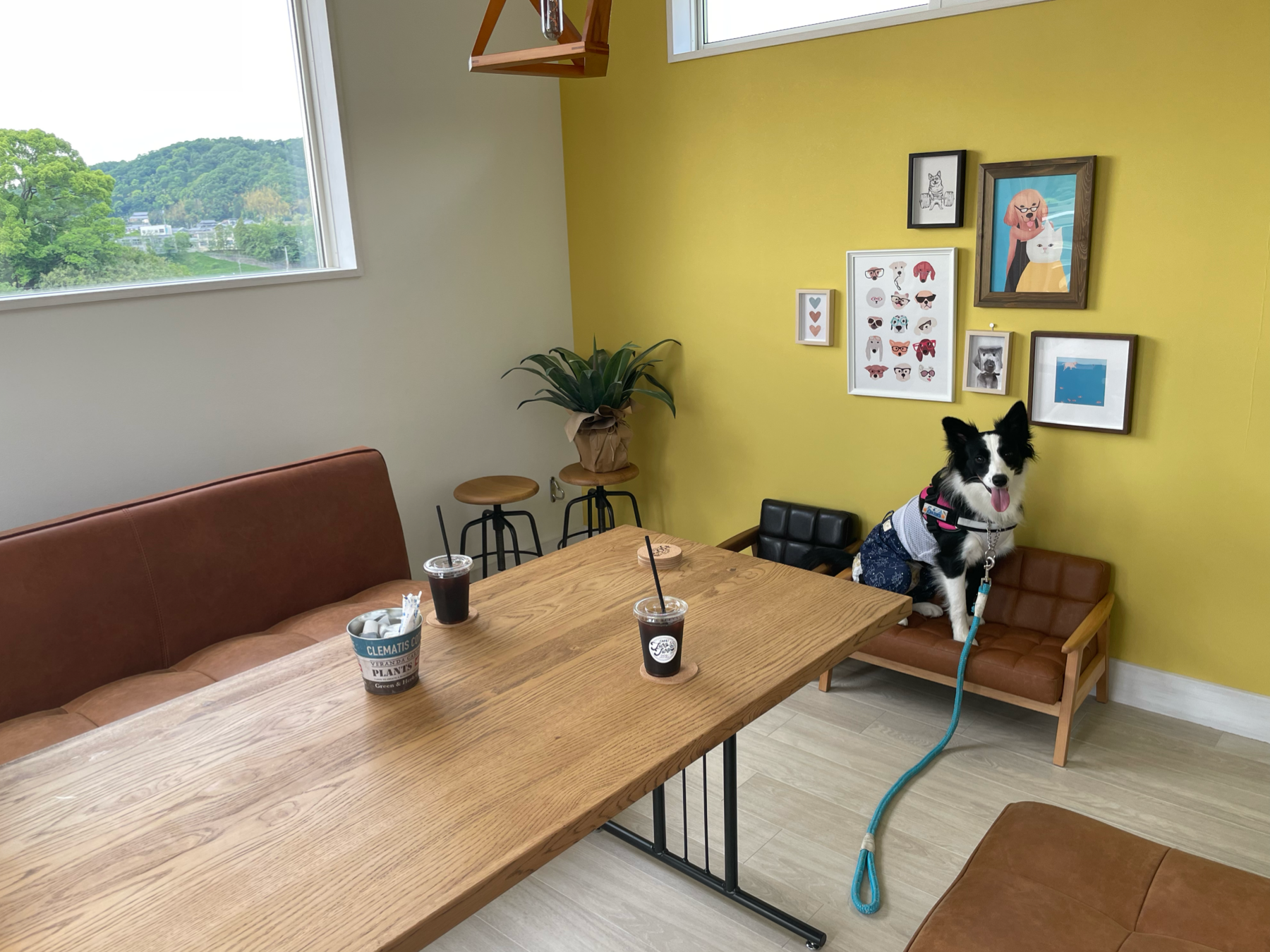 CafeTwoTwo&DogGrassField