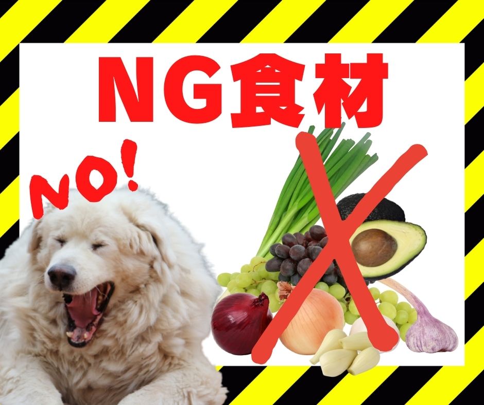 愛犬メニューに夏野菜を取り入れよう！NG食材も紹介