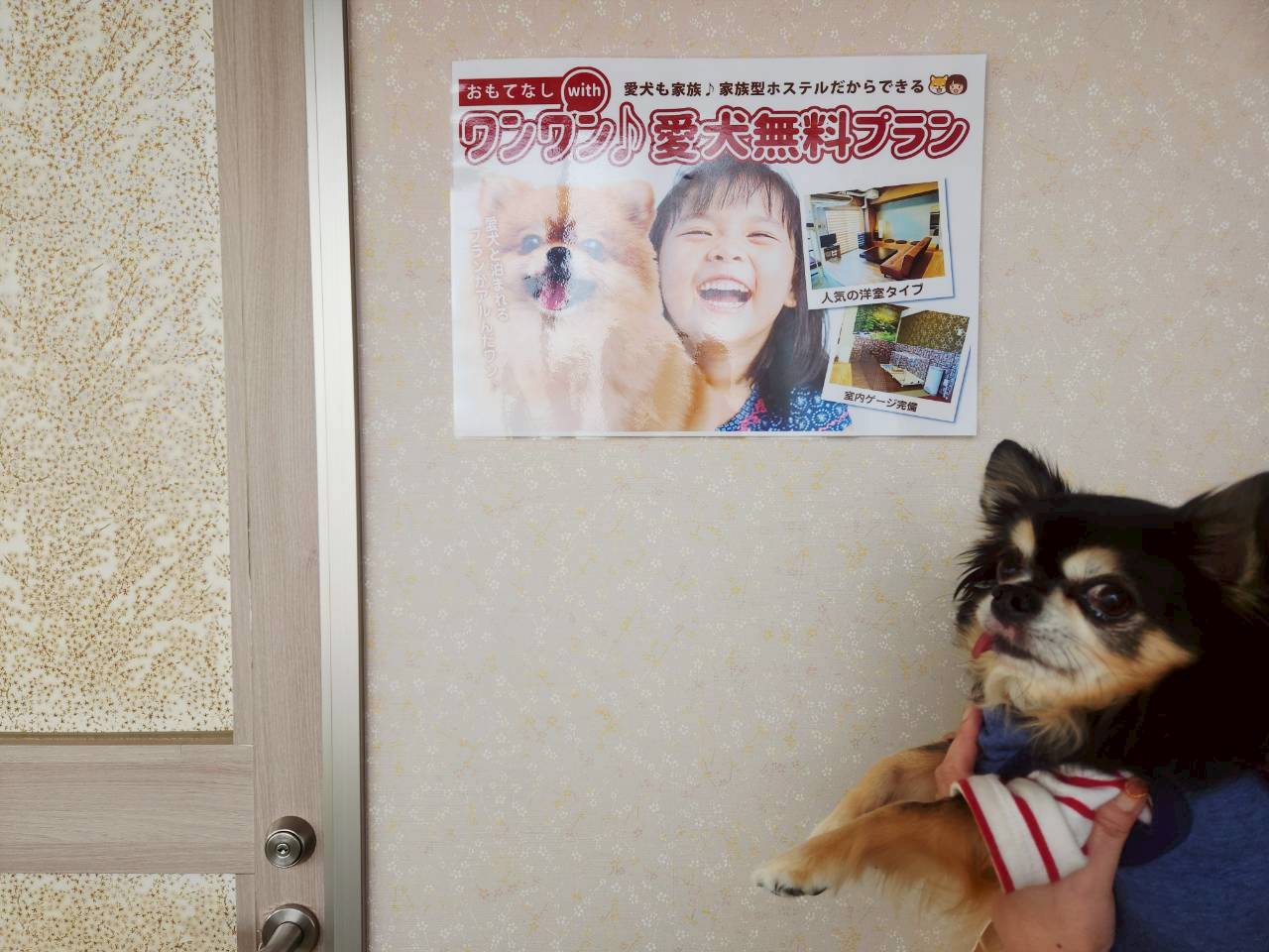 おもてなしホステル宮島