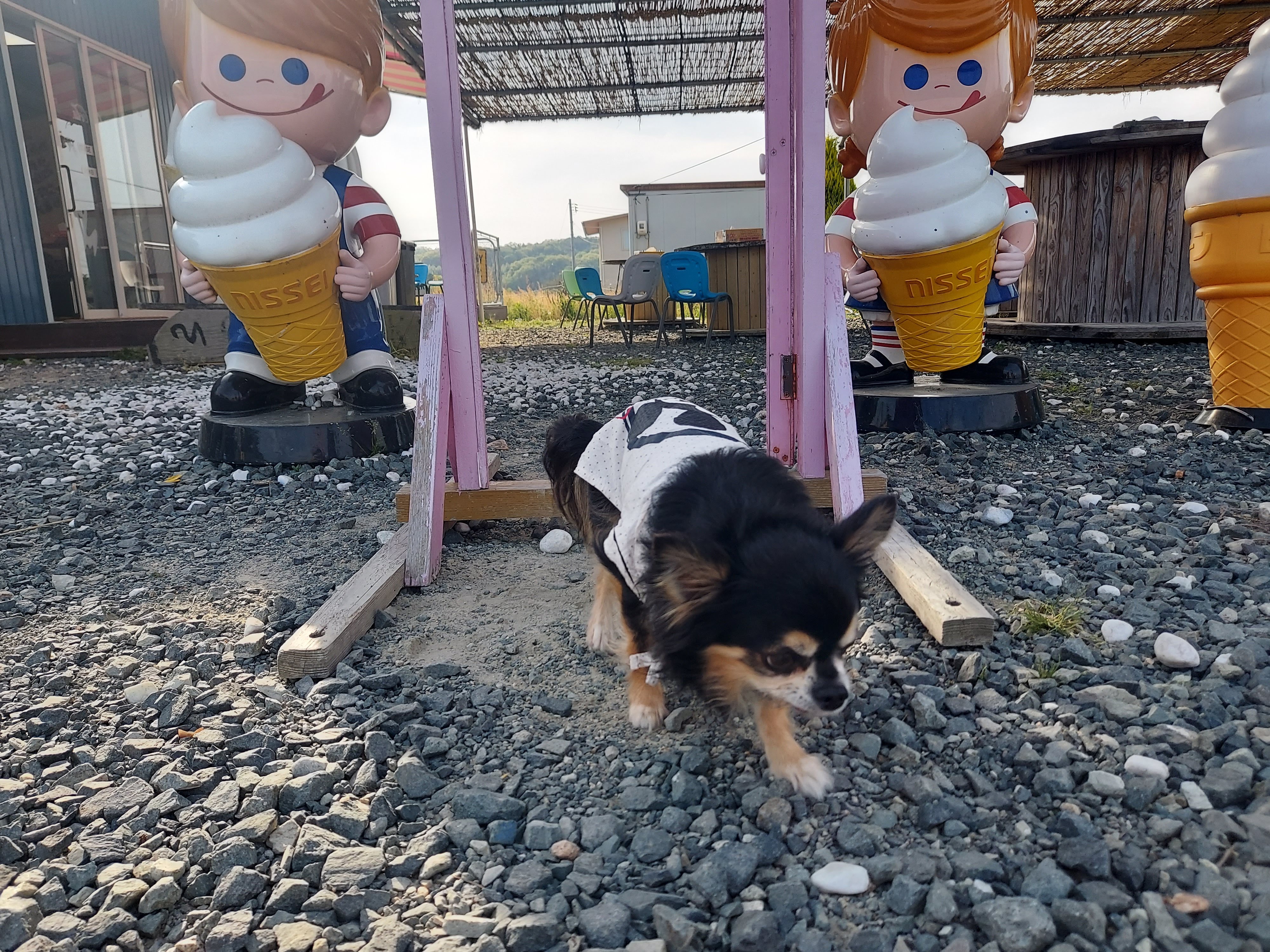 もみの木 農家のソフトクリーム屋さん