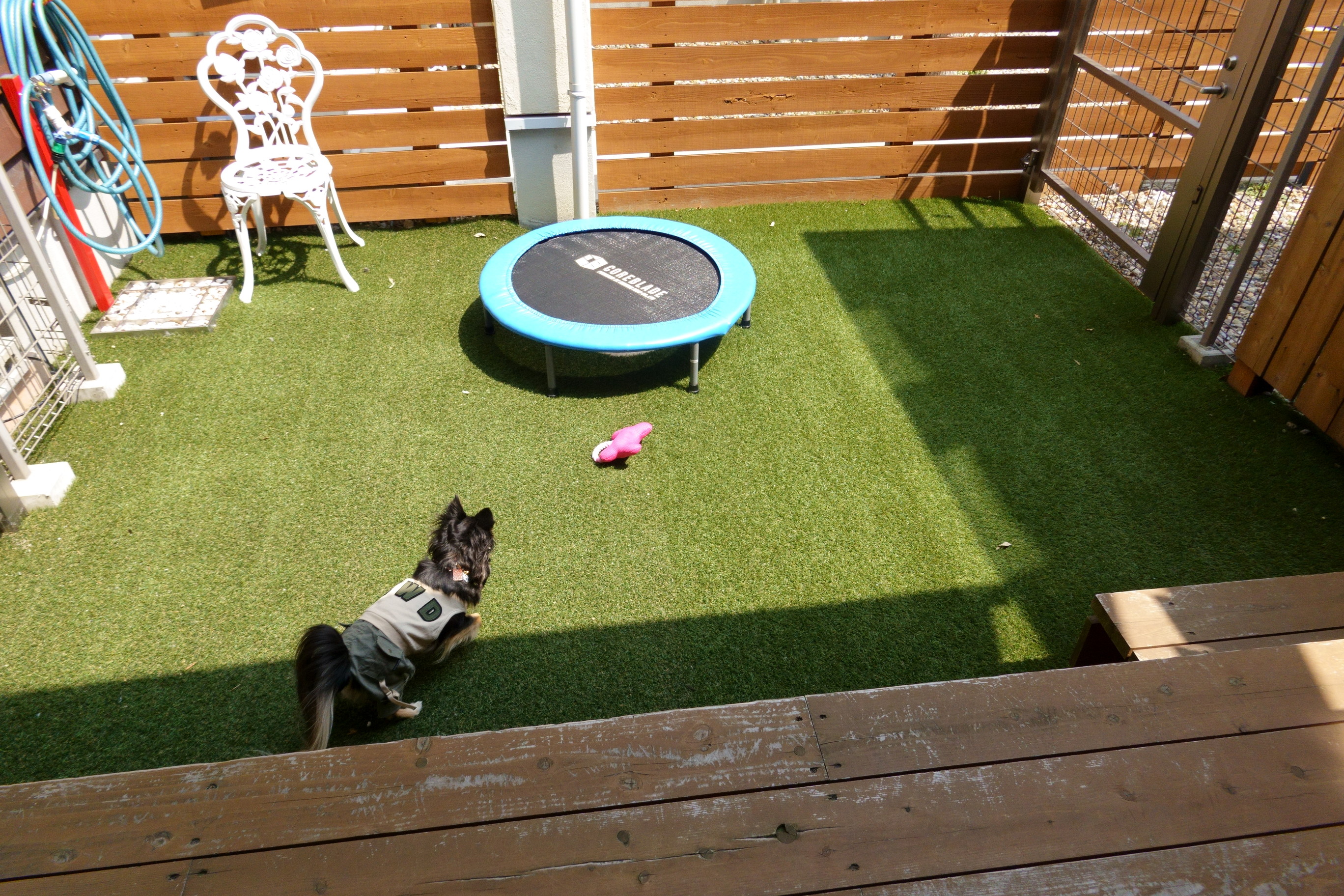 Dogcafe&salon