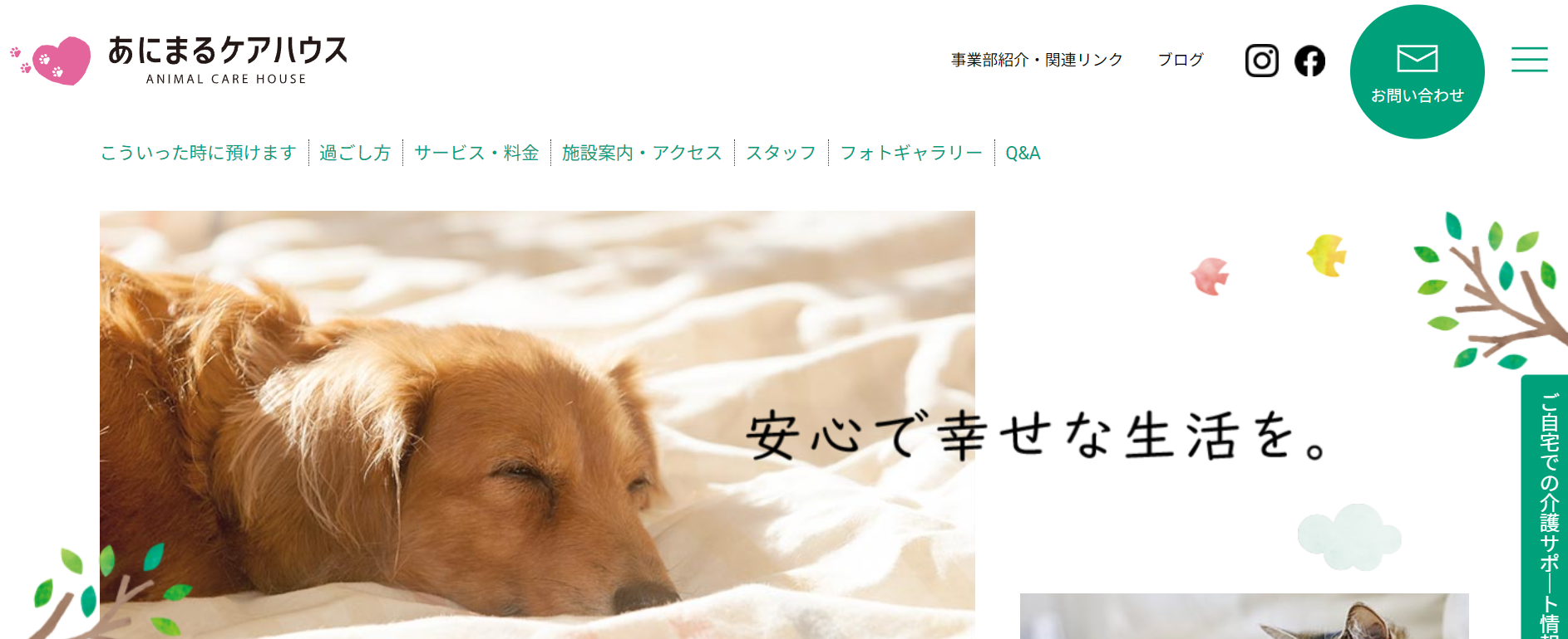 愛犬のトータルケア講座
